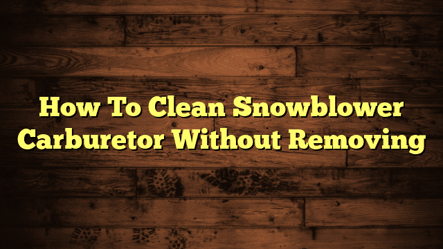 How To Clean Snowblower Carburetor Without Removing