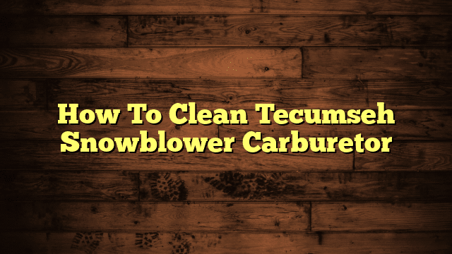 How To Clean Tecumseh Snowblower Carburetor