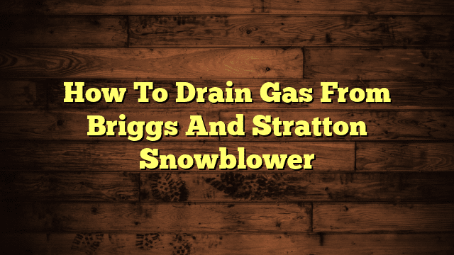 How To Drain Gas From Briggs And Stratton Snowblower