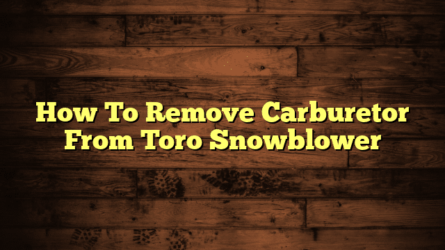 How To Remove Carburetor From Toro Snowblower