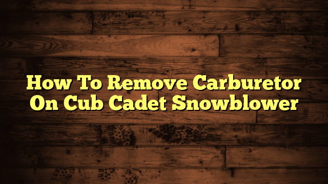 How To Remove Carburetor On Cub Cadet Snowblower