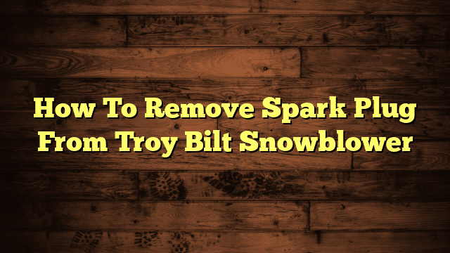 How To Remove Spark Plug From Troy Bilt Snowblower