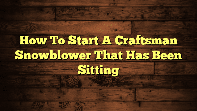 How To Start A Craftsman Snowblower That Has Been Sitting