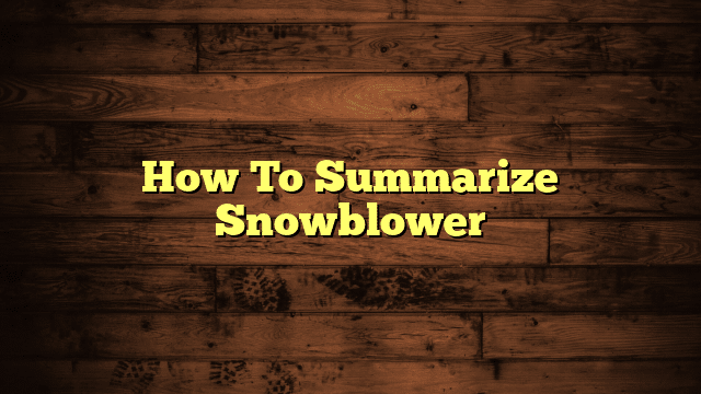 How To Summarize Snowblower