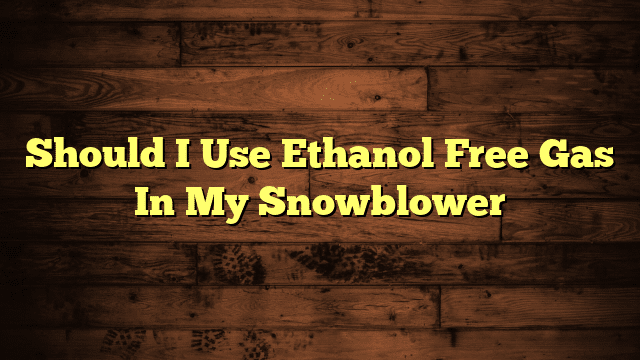 Should I Use Ethanol Free Gas In My Snowblower