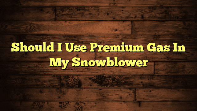 Should I Use Premium Gas In My Snowblower