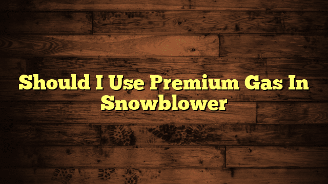 Should I Use Premium Gas In Snowblower