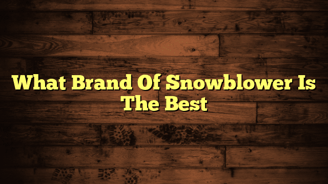 What Brand Of Snowblower Is The Best