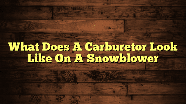 What Does A Carburetor Look Like On A Snowblower