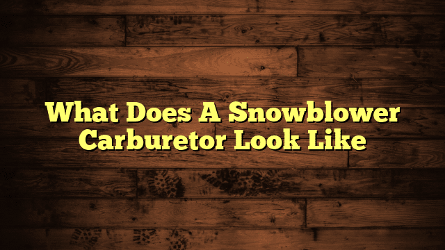 What Does A Snowblower Carburetor Look Like