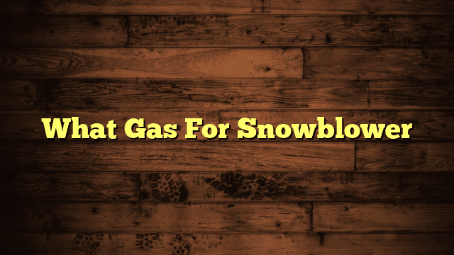 What Gas For Snowblower
