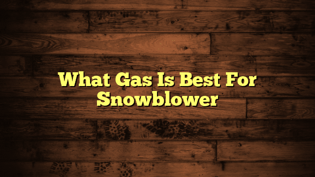 What Gas Is Best For Snowblower