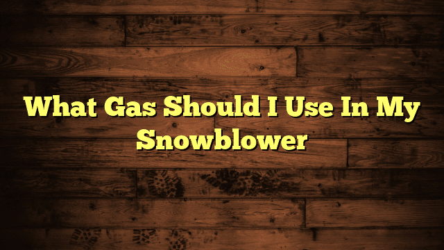 What Gas Should I Use In My Snowblower