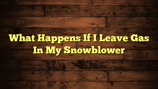 What Happens If I Leave Gas In My Snowblower