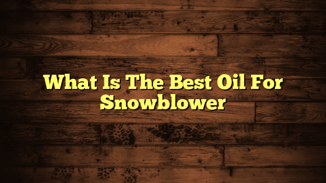 What Is The Best Oil For Snowblower