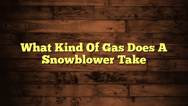 What Kind Of Gas Does A Snowblower Take
