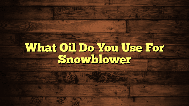 What Oil Do You Use For Snowblower