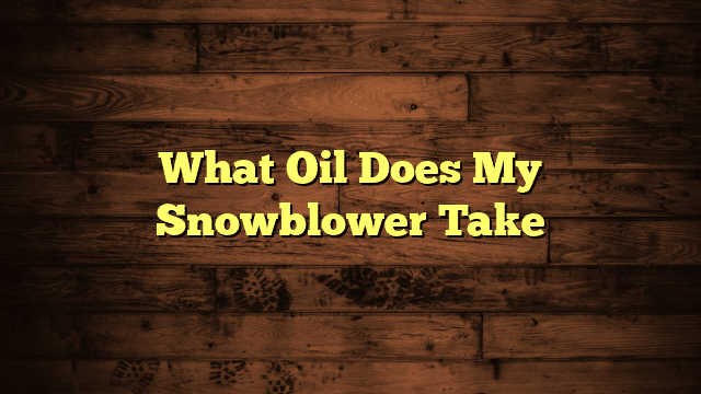 What Oil Does My Snowblower Take