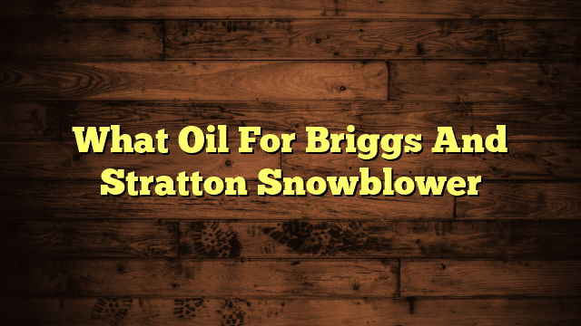 What Oil For Briggs And Stratton Snowblower