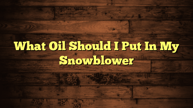 What Oil Should I Put In My Snowblower