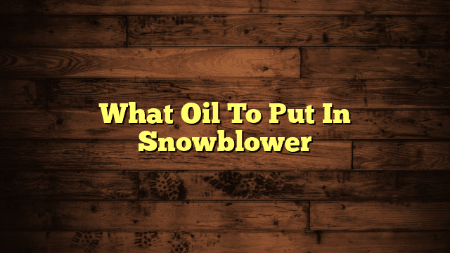 What Oil To Put In Snowblower
