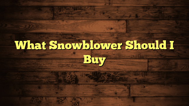 What Snowblower Should I Buy