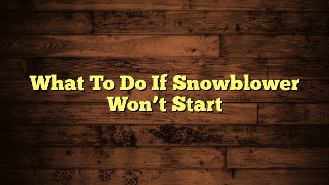 What To Do If Snowblower Won’t Start