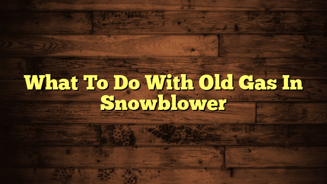 What To Do With Old Gas In Snowblower