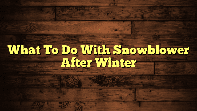 What To Do With Snowblower After Winter