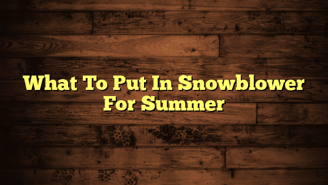 What To Put In Snowblower For Summer