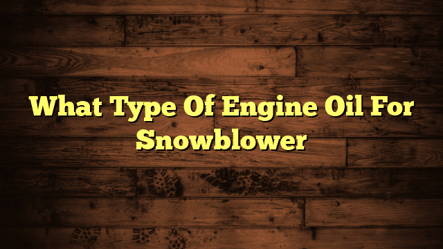 What Type Of Engine Oil For Snowblower