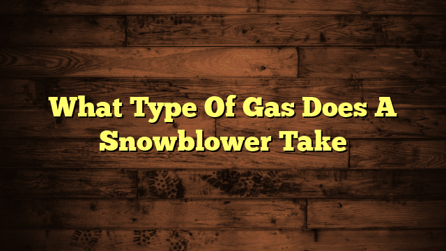 What Type Of Gas Does A Snowblower Take