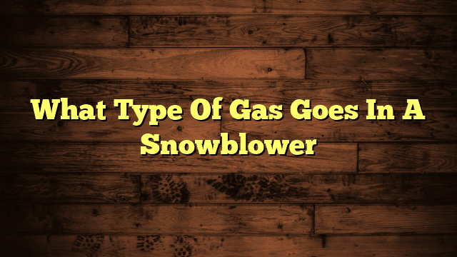 What Type Of Gas Goes In A Snowblower