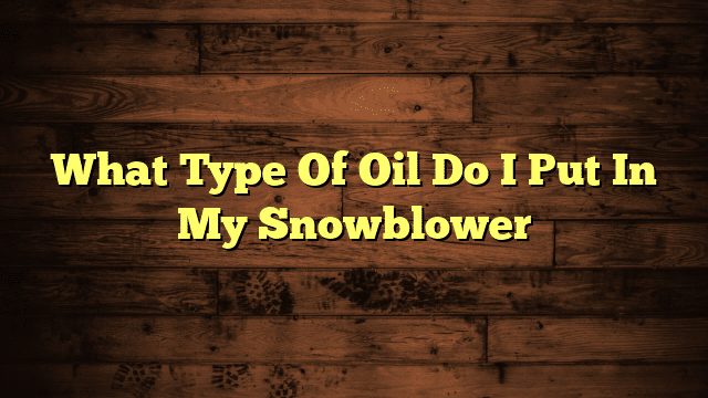 What Type Of Oil Do I Put In My Snowblower