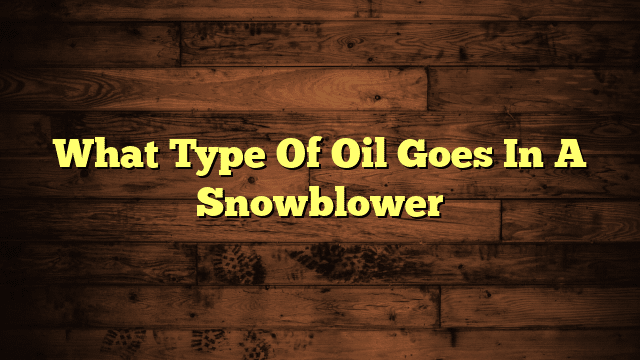 What Type Of Oil Goes In A Snowblower