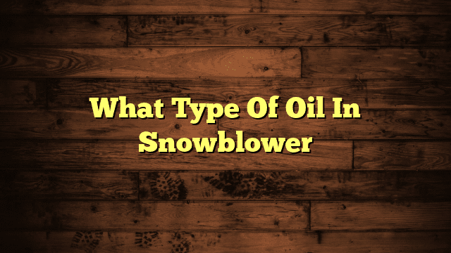 What Type Of Oil In Snowblower