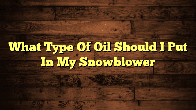 What Type Of Oil Should I Put In My Snowblower
