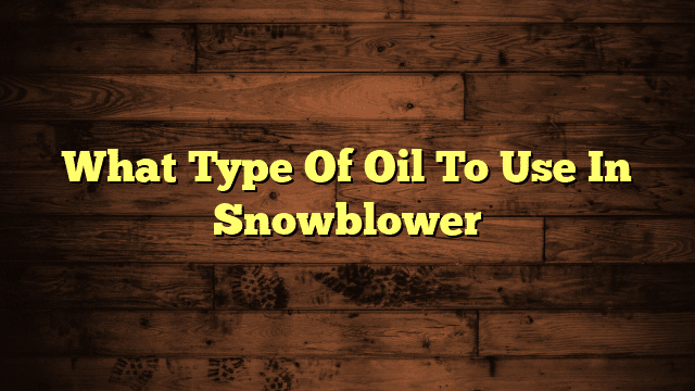 What Type Of Oil To Use In Snowblower