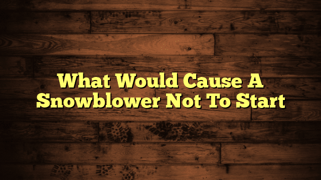 What Would Cause A Snowblower Not To Start
