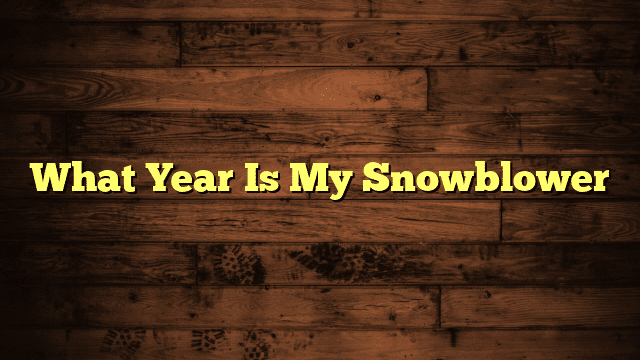 What Year Is My Snowblower