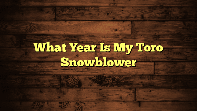 What Year Is My Toro Snowblower