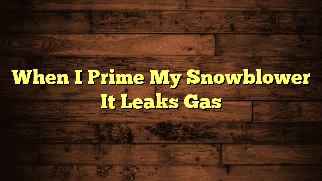When I Prime My Snowblower It Leaks Gas