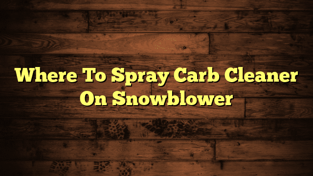 Where To Spray Carb Cleaner On Snowblower