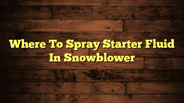 Where To Spray Starter Fluid In Snowblower