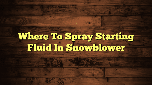 Where To Spray Starting Fluid In Snowblower