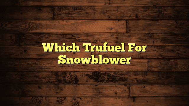 Which Trufuel For Snowblower