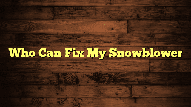Who Can Fix My Snowblower