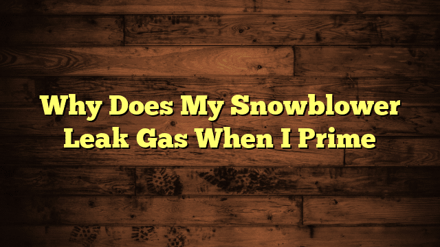 Why Does My Snowblower Leak Gas When I Prime