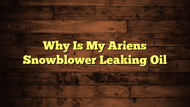 Why Is My Ariens Snowblower Leaking Oil
