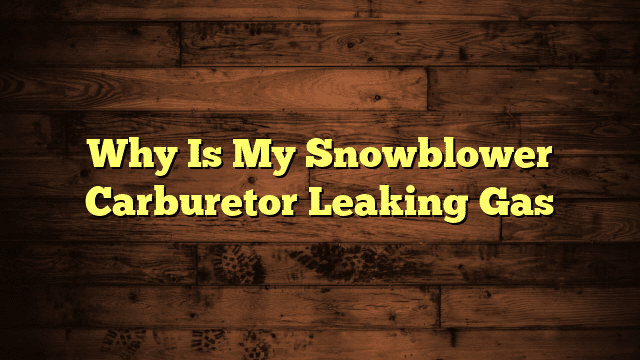 Why Is My Snowblower Carburetor Leaking Gas
